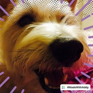 Meet your Posher, Stefanie